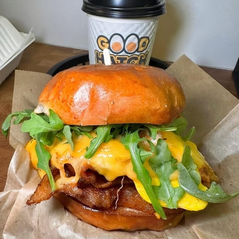 Delicious Lox Bagel and More